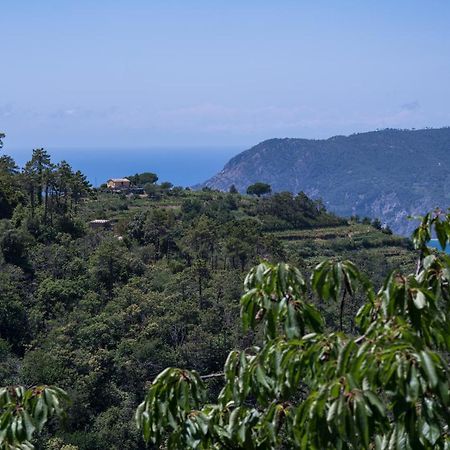 Ca Du Venuto 1, Terremarine Villa Vernazza Eksteriør billede